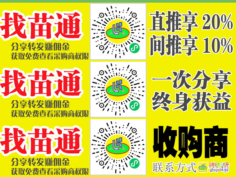 個舊找果樹苗平臺注冊 蔬菜苗期需要什么肥料 微信搜一搜找苗通