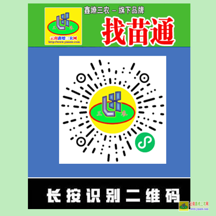 勐臘找苗通求購信息 微信搜一搜{找苗通}小程序 收購商家聯系方式