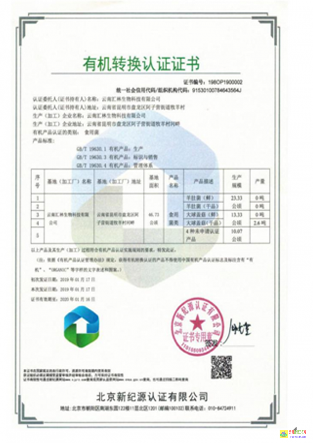 澳門羊肚菌多少錢一斤 大量羊肚菌收購公司 怎么賣