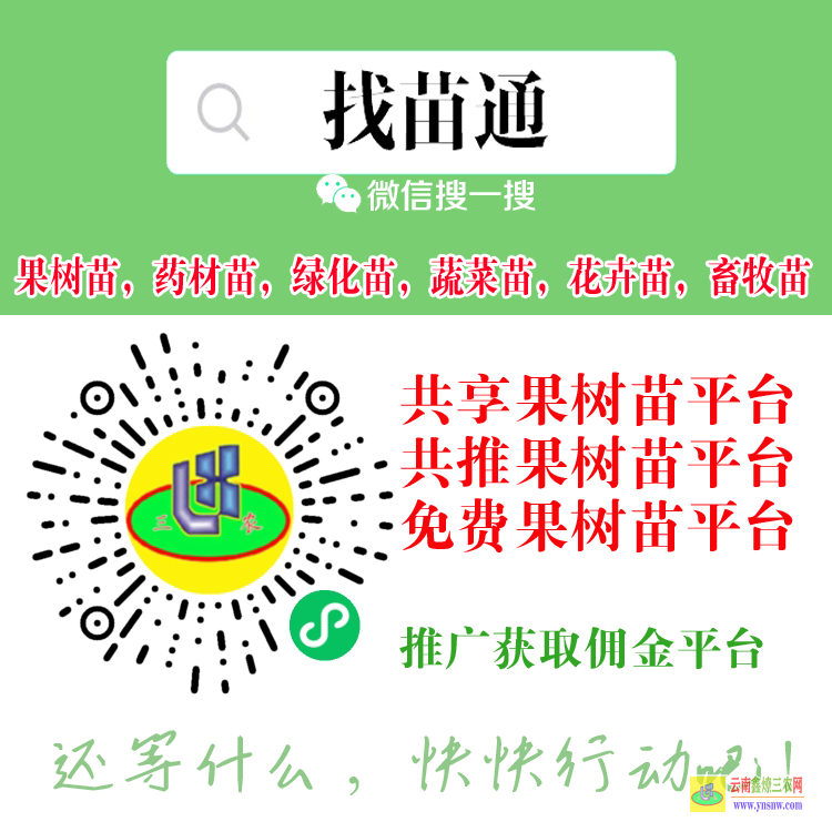 云南大理祥云口碑好的果樹苗木平臺 微信搜一搜[找苗通] 蔬菜苗信息平臺