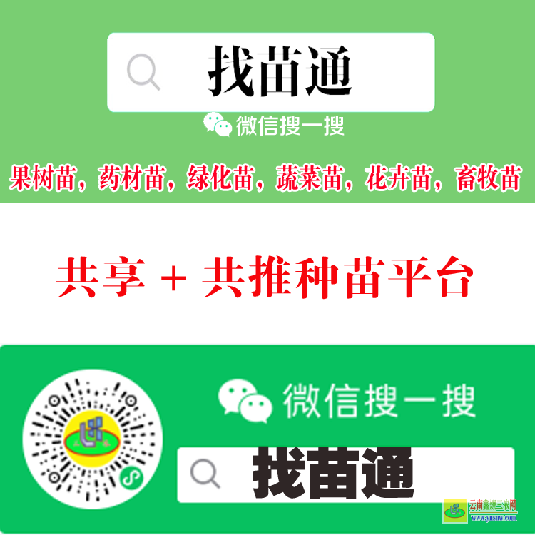 河南許昌許昌賣苗木平臺 微信搜一搜[找苗通] 什么平臺能買到蔬菜苗