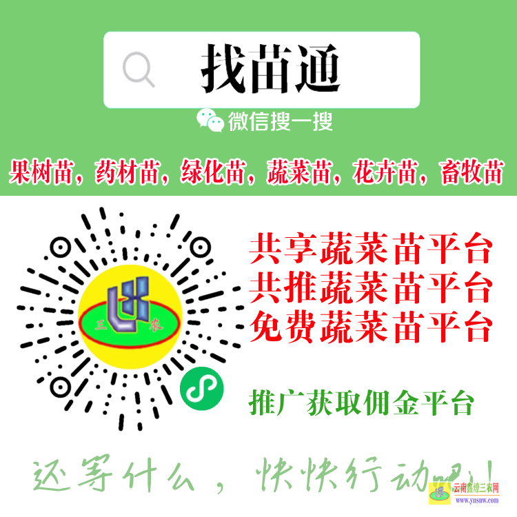 云南大理祥云口碑好的果樹苗木平臺 微信搜一搜[找苗通] 蔬菜苗信息平臺