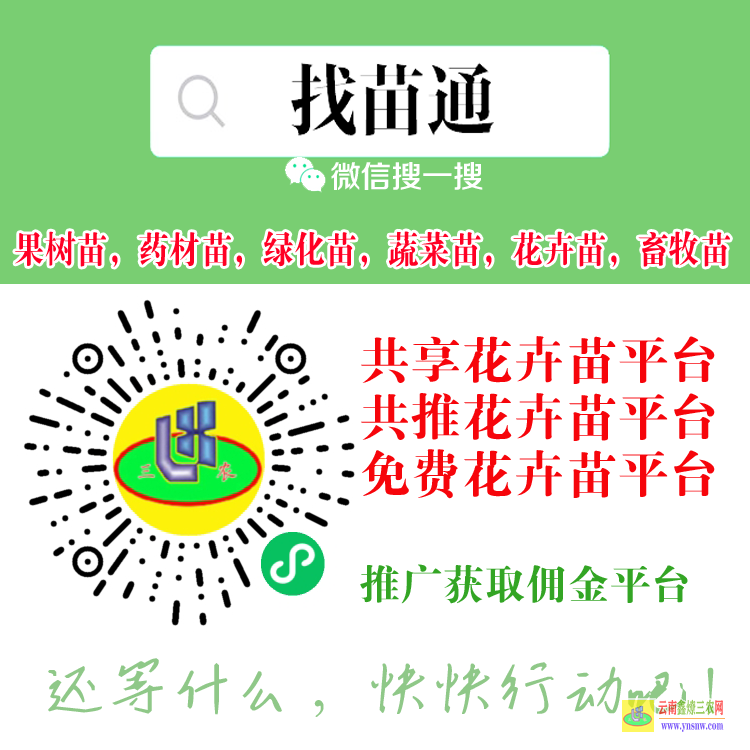 河南周口鹿邑專賣果樹苗的平臺 微信搜一搜[找苗通] 網上蔬菜菜苗買賣供享平臺