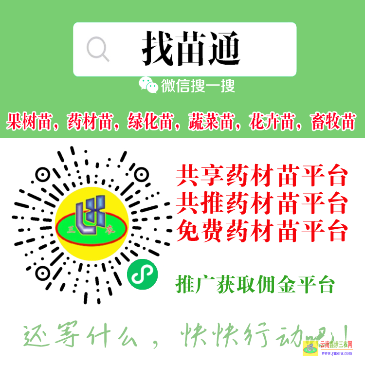 香港順義海外果樹(shù)苗購(gòu)買(mǎi)平臺(tái) 微信搜一搜[找苗通] 蔬菜苗銷售平臺(tái)