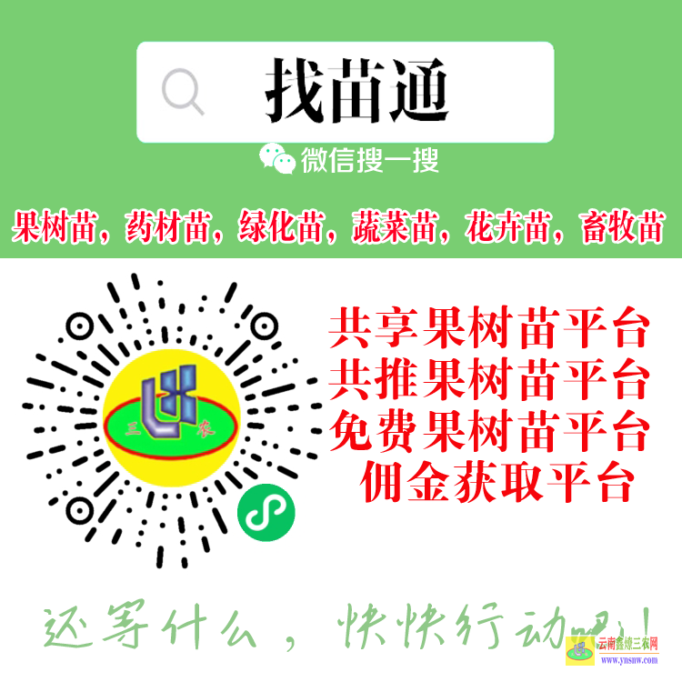 湖北仙桃園林苗木網(wǎng) 微信搜一搜[找苗通] 藥材苗銷售平臺