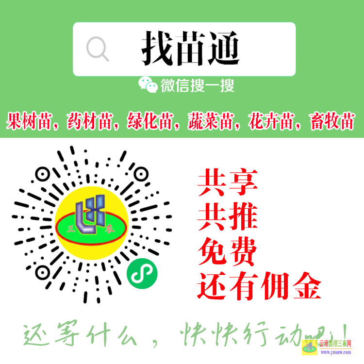 呈貢【蔬菜苗】什么平臺(tái) 微信搜一搜[找苗通] 找苗木銷售平臺(tái)