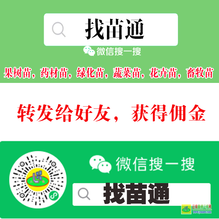 永德【蔬菜苗】什么平臺 微信搜一搜[找苗通] 貴州錦屏苗木銷售平臺