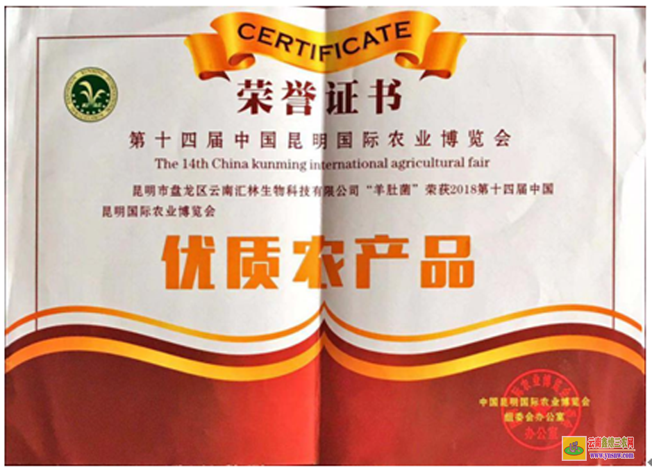 大理昆明球花石楠網 10公分垂絲海棠市場價是多少 垂絲海棠品種