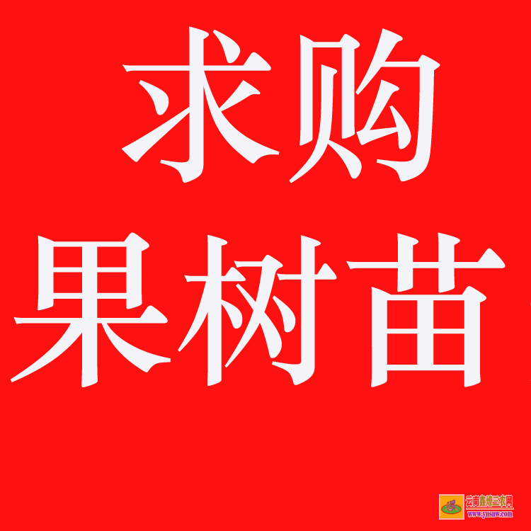 官渡苗木價格一覽表 較好的苗木交易網站 工程急需苗木求購信息