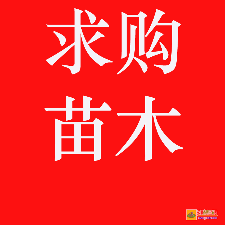 元謀2022苗木價格一覽表 較好的苗木交易網站 苗木價格網