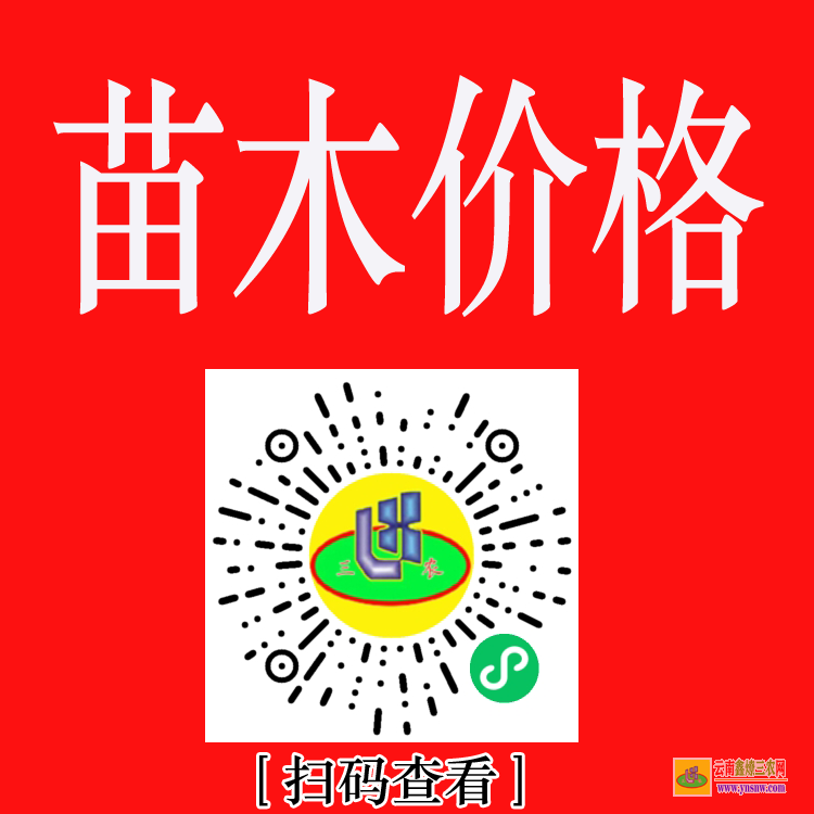 景洪苗木銷售如何找客戶 大型苗木市場在哪里 工程急需苗木求購信息