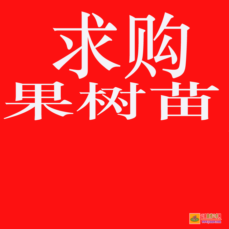 寧洱苗木銷售如何找客戶 大型苗木市場在哪里 工程急需苗木求購信息