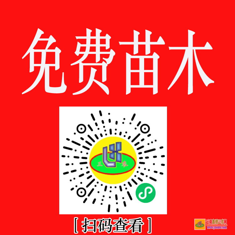 芒市苗木求購app哪個好 上門收購綠化樹木 全國大的苗木交易app