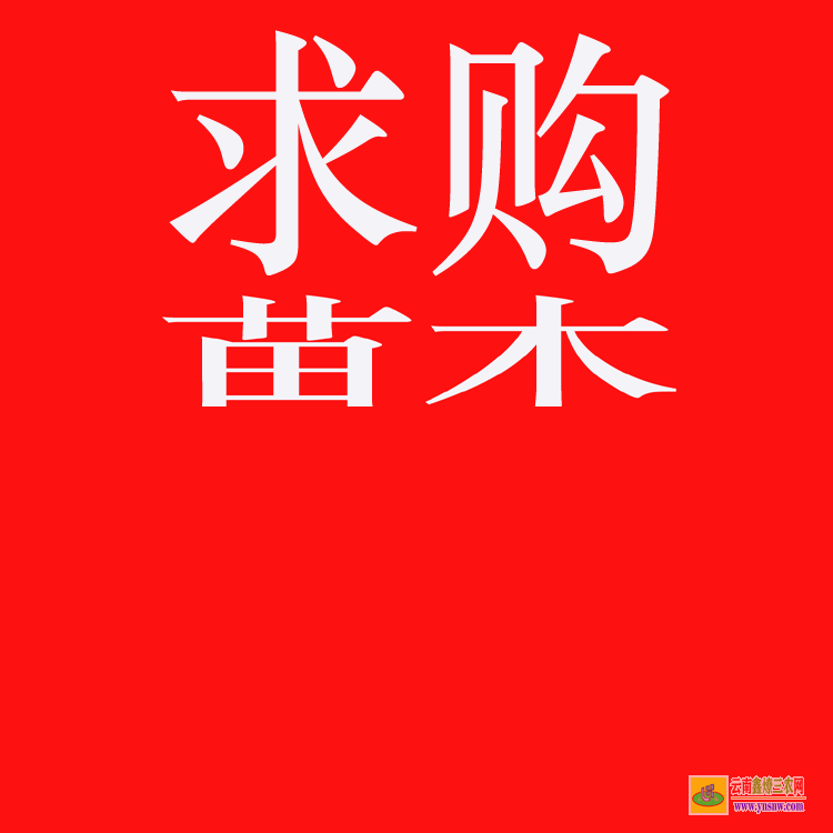 東川苗木銷售如何找客戶 綠化工程苗木報價清單 工程急需苗木求購信息