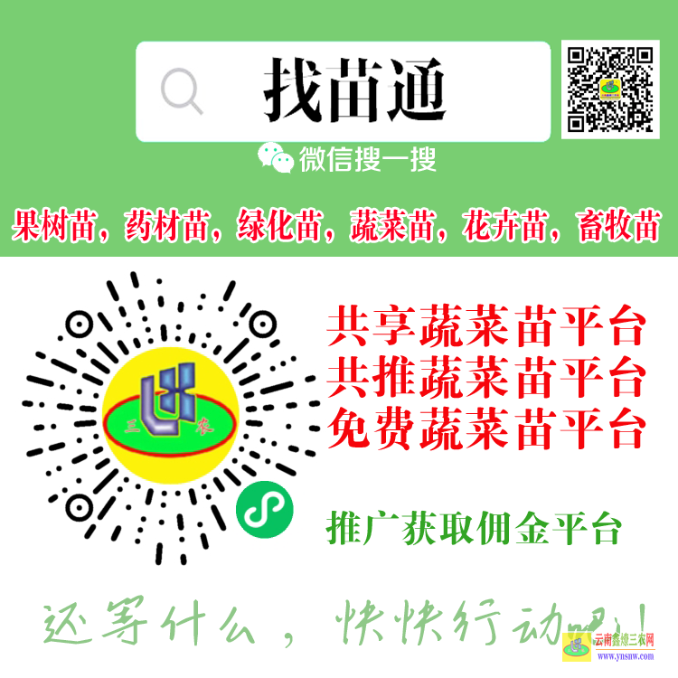 云南開遠(yuǎn)蔬菜苗期需要什么肥料 蔬菜苗批發(fā)在什么地方 蔬菜苗子運(yùn)輸車