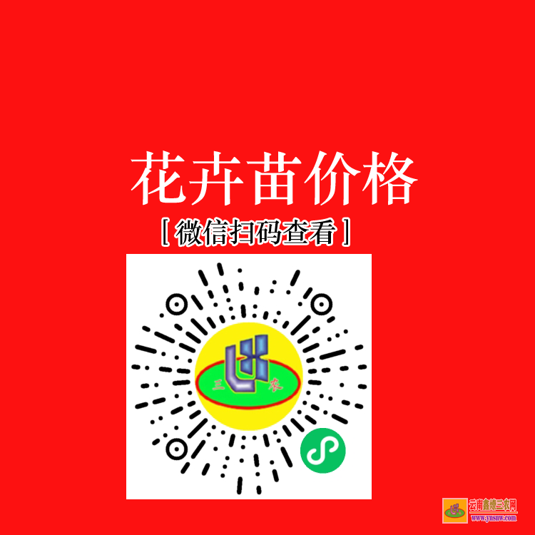 云南施甸蔬菜苗圖片大全 蔬菜苗批發(fā)市場(chǎng)價(jià)格 蔬菜苗價(jià)格行情