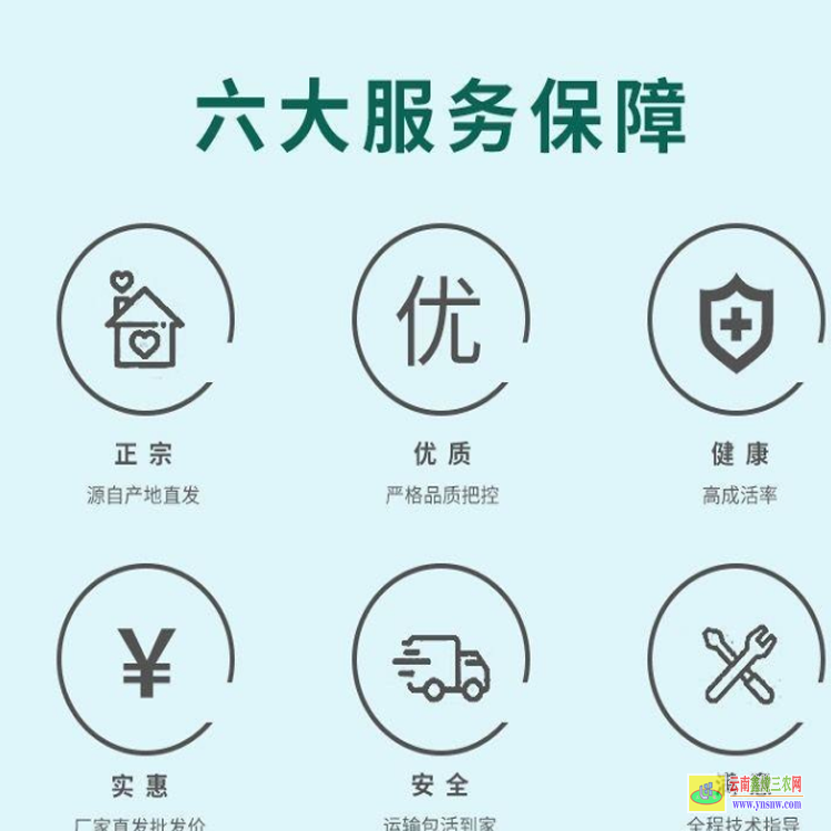 貴陽(yáng)白云大三花鵝苗能長(zhǎng)多重 貴州鵝苗基地 大三花鵝苗價(jià)格