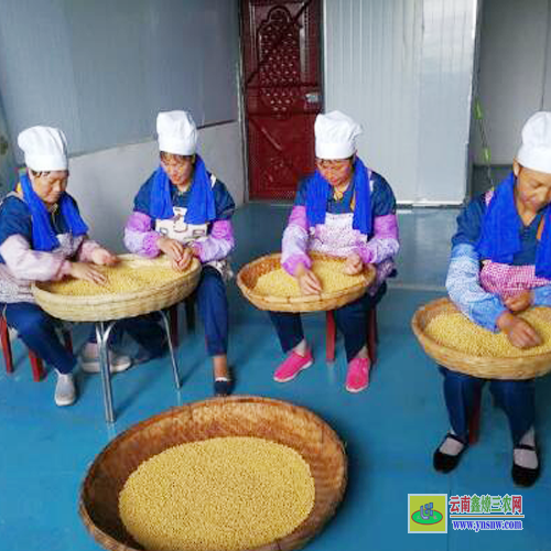 山西麻辣豆腐皮批發| 豆腐皮哪里批發便宜| 豆腐皮批發廠家