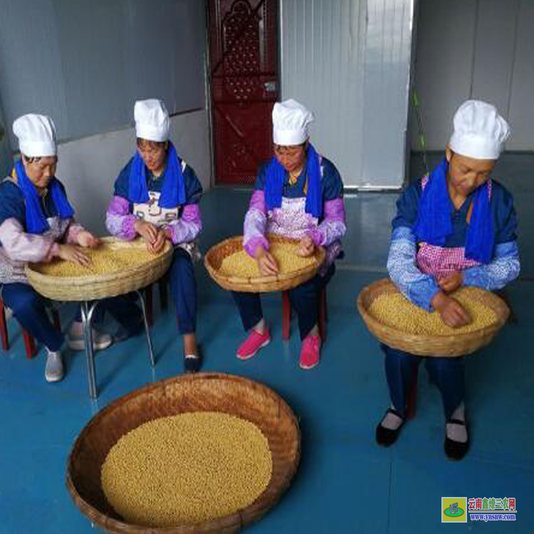 湖南豆腐皮批發廠家| 豆腐皮批發價多少錢| 豆腐皮批發哪里