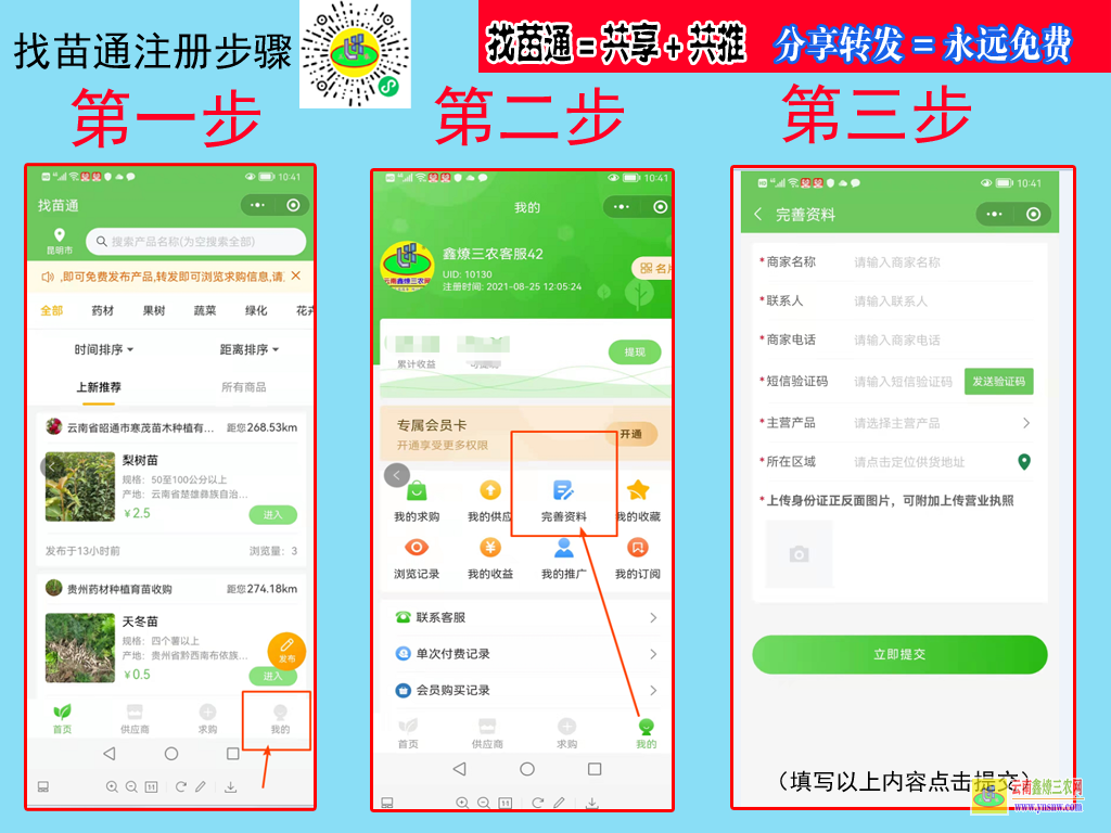 普洱云南果樹苗基地| 云南省樹苗批發 云南什么樹苗緊缺