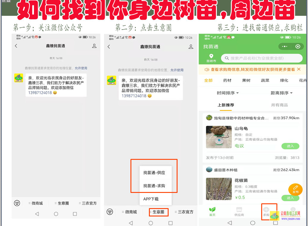 麗江果樹苗批發大市場在哪里| 南方果樹苗品種有哪些 果樹苗出售