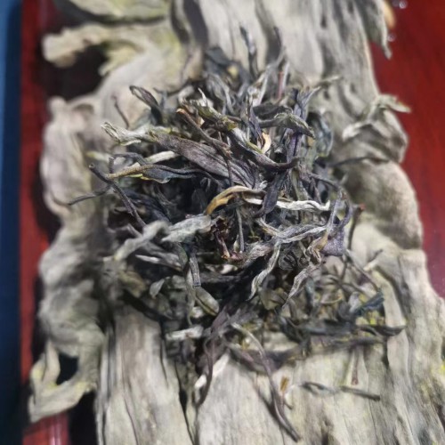 2023清明前原生態新茶500g