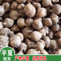 求購(gòu)半夏，硫1500內(nèi)，水分13%.選虎掌異形，其他達(dá)藥典標(biāo)準(zhǔn)，數(shù)量61噸