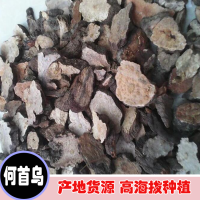 求購何首烏1000kg，要求切丁，八個篩，符合藥典檢測